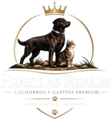 Cachorros sanos
